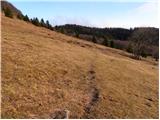 Podkraj - Javornik above Črni vrh